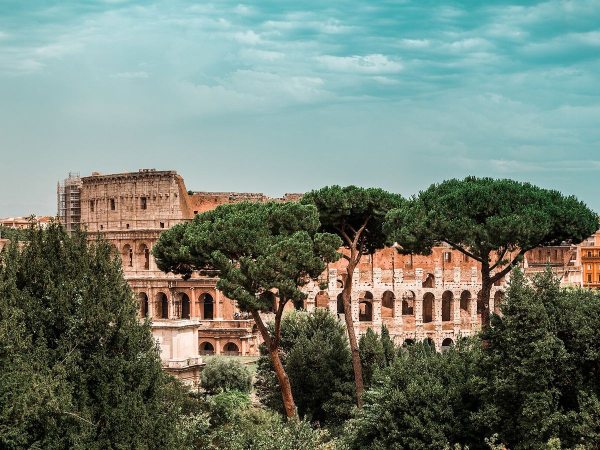 The Colosseum in Rome framed by umbrella pines